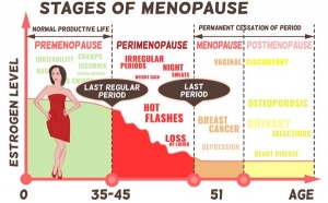 Menopauza i perimenopauza – promjene, simptomi, preporuke i terapije