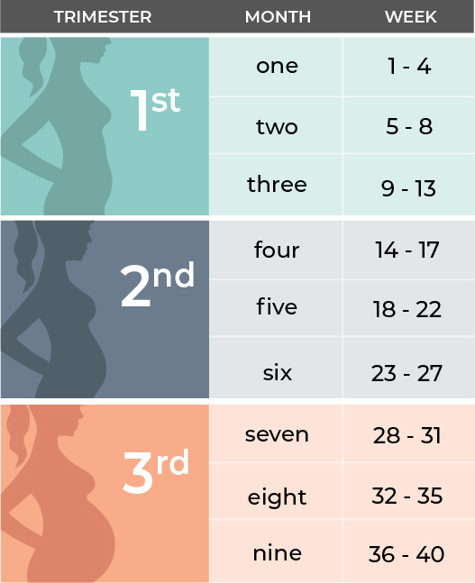 Tablica tjedana, mjeseci i tromjesečja trudnoće